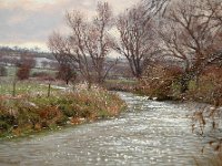 Landscapes - Sold (75)
